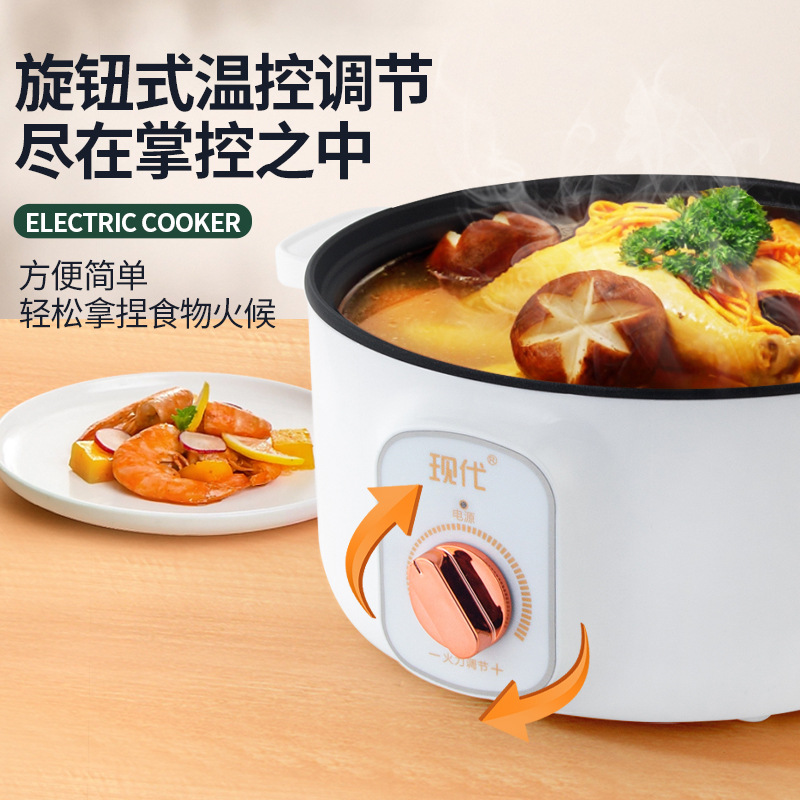 Mini pentola elettrica multifu - Kitchen Appliances Cooking recensione e prezzo