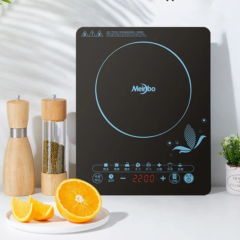 Fornello a induzione 110V per  - Kitchen Appliances In Japanese recensione e prezzo