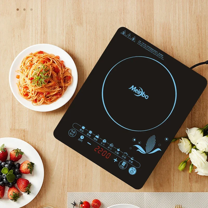 Fornello a induzione 110V per  - Kitchen Appliances In Japanese recensione e prezzo