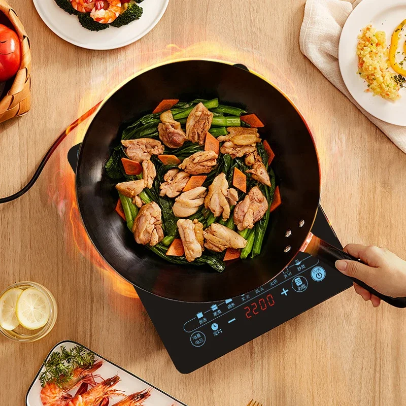 Fornello a induzione 110V per  - Kitchen Appliances In Japanese recensione e prezzo