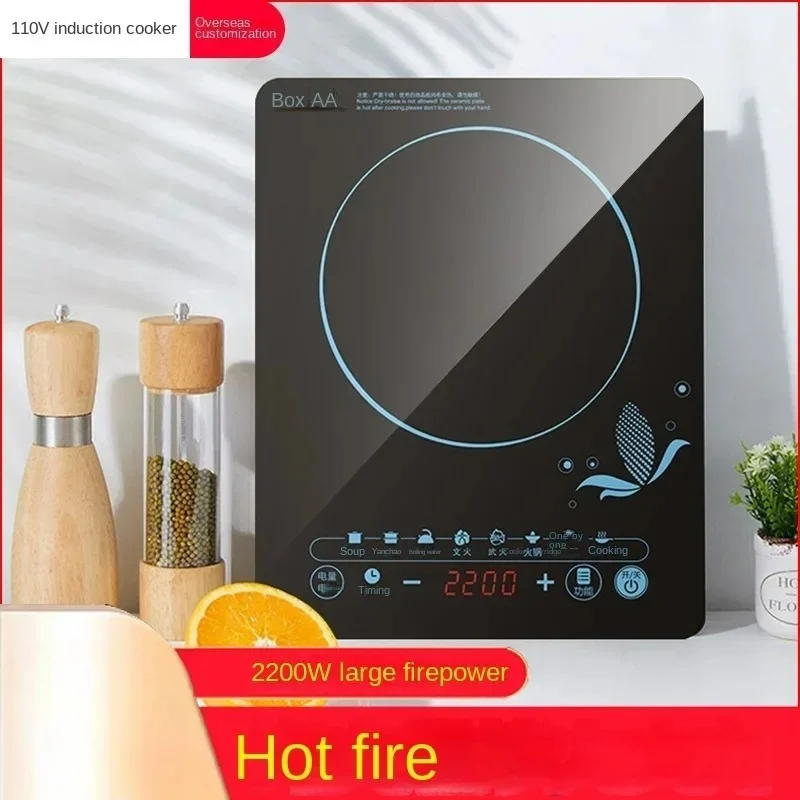 Fornello a Induzione 110V per  - Kitchen Appliances In Japanese recensione e prezzo