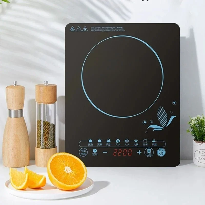Fornello a Induzione 110V per  - Kitchen Appliances In Japanese recensione e prezzo